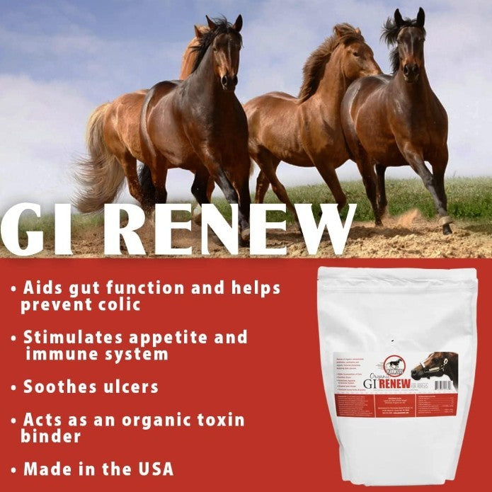 Pennwoods Organic GI Renew Horse Supplement