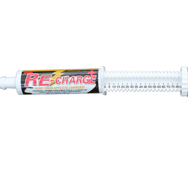 Re-Charge Paste
