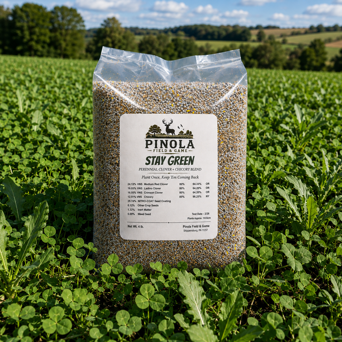 Stay Green Perennial Blend - 4 lb.