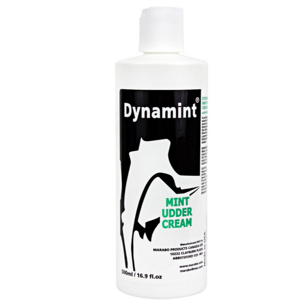Dynamint 500 ml