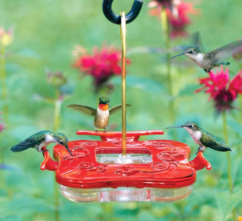 Hummzinger Square Hummingbird Feeder