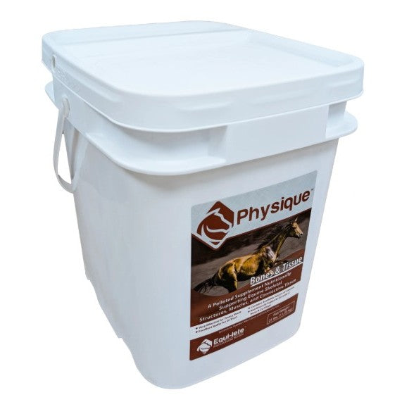 Equi-lete Physique
