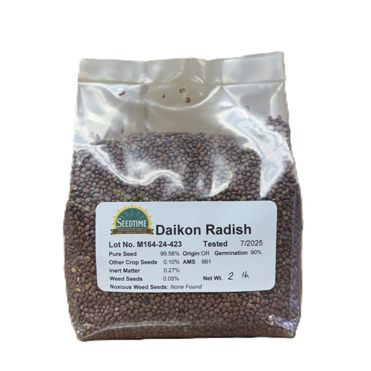 Daikon Tillage Radish