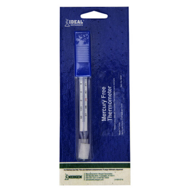 Non Mercury Thermometer