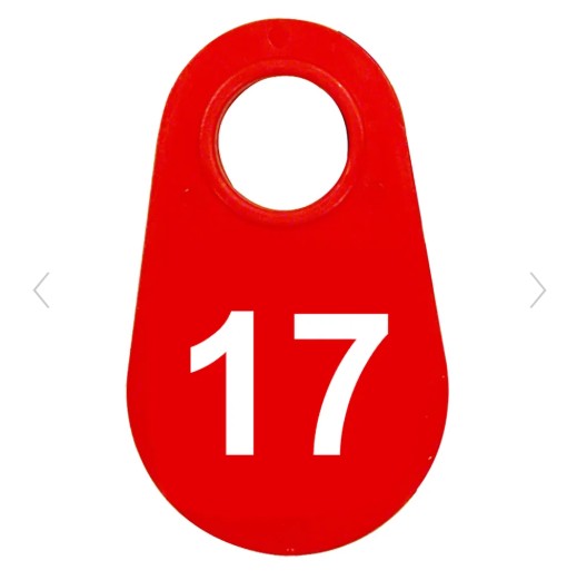 Red Nylon Neck Tag