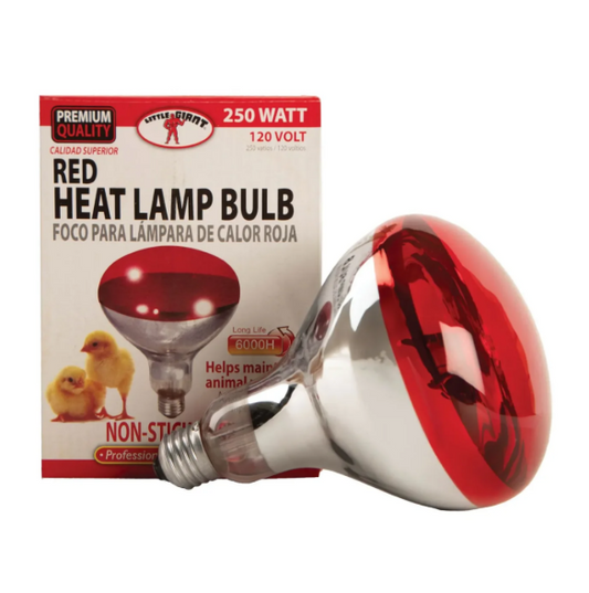 Heat Bulb - Red - 250 Watt