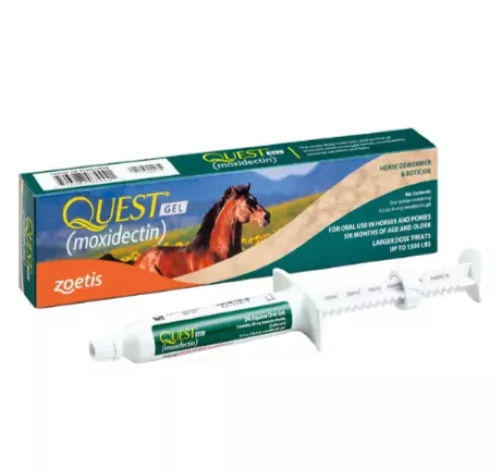 Quest Horse Dewormer