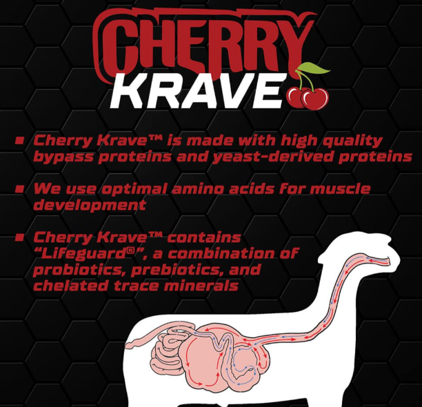 Cherry Krave Lamb Creep