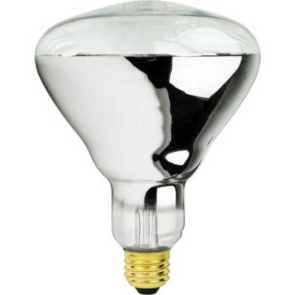 Heat Bulb - Red - 250 Watt