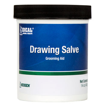 Drawing Salve (14 oz)