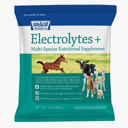 Electrolytes Plus™ Supplement