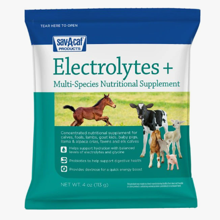 Electrolytes Plus™ Supplement