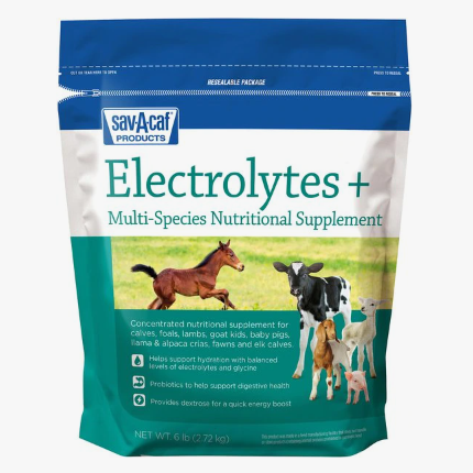 Electrolytes Plus™ Supplement