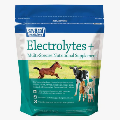 Electrolytes Plus™ Supplement