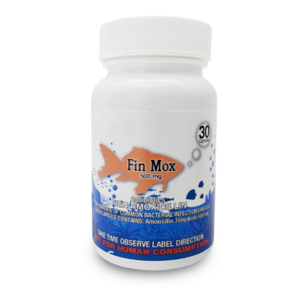 Fin Mox  Fish Amoxicllin