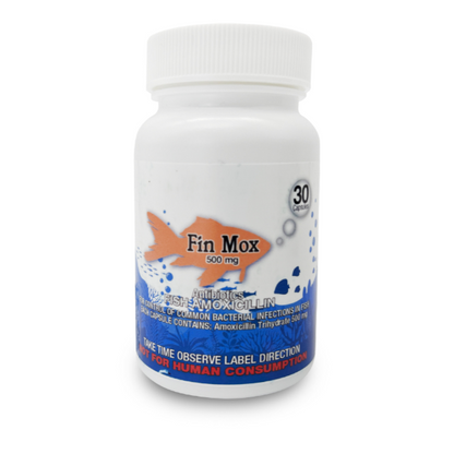 Fin Mox  Fish Amoxicllin