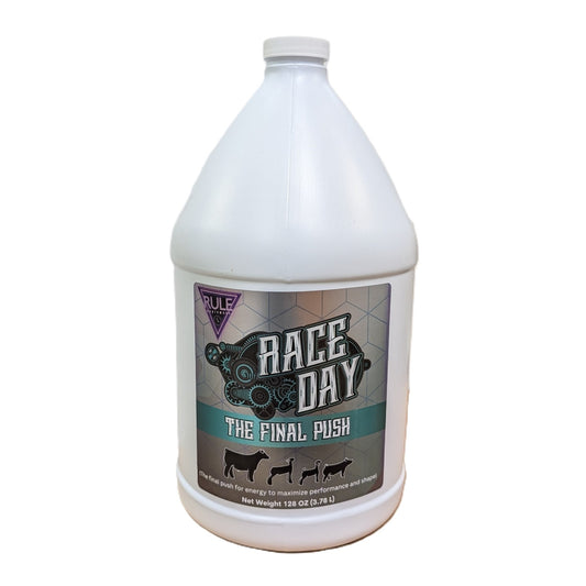 Race Day – Gallon, by RULE