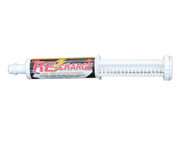 Re-Charge Paste