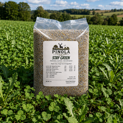 Stay Green Perennial Blend - 4 lb.