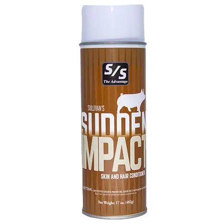 SUDDEN IMPACT