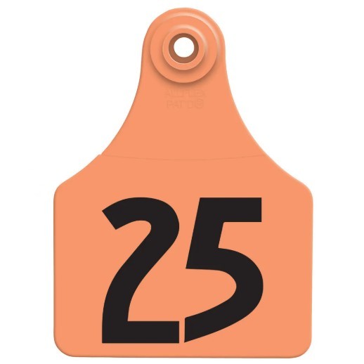 ALLFLEX® Global Large Numbered Tags
