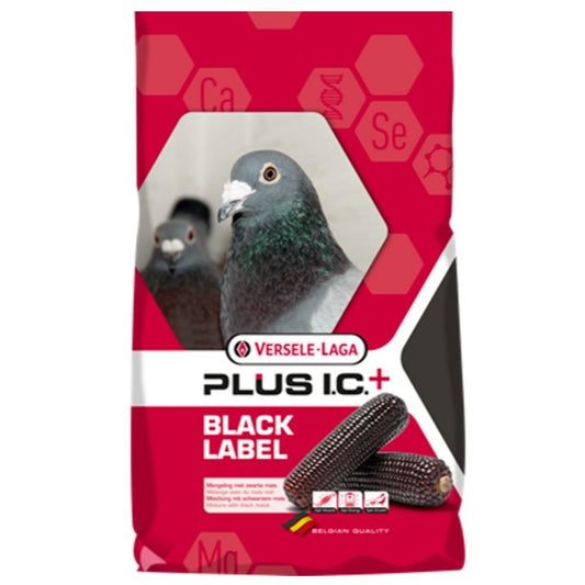 Versele-Laga Black Label Champion