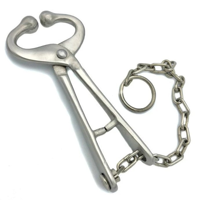 Bull Lead with 13.5" Chain