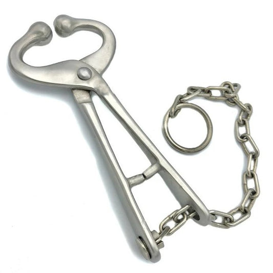Bull Lead with 13.5" Chain