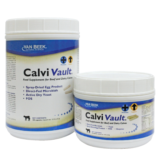 Calvi Vault Capsule