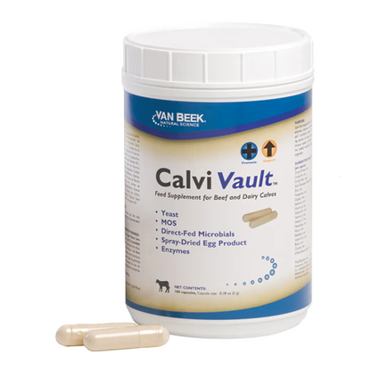 Calvi Vault Capsule