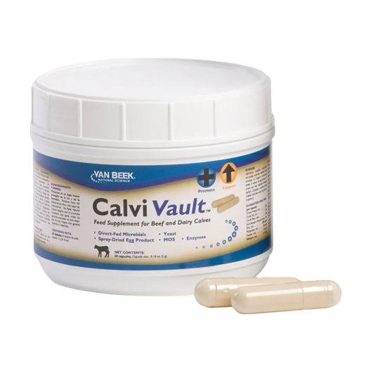 Calvi Vault Capsule