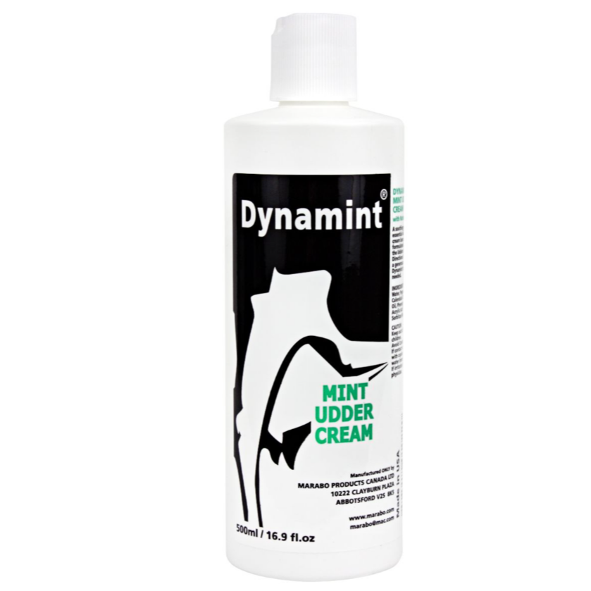 Dynamint 500 ml