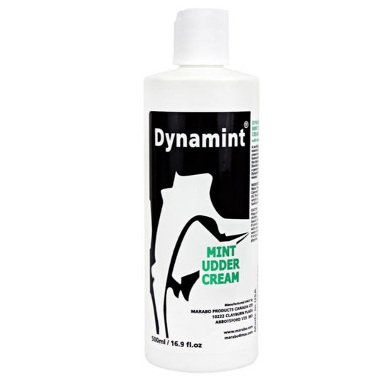 Dynamint 500 ml