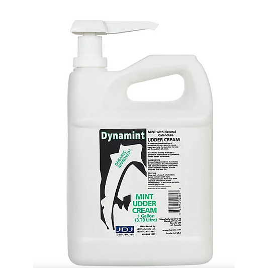 Dynamint White - Gallon