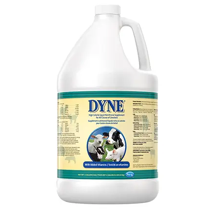 Dyne High Calorie Supplement