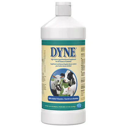 Dyne High Calorie Supplement