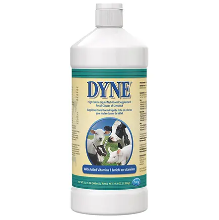 Dyne High Calorie Supplement