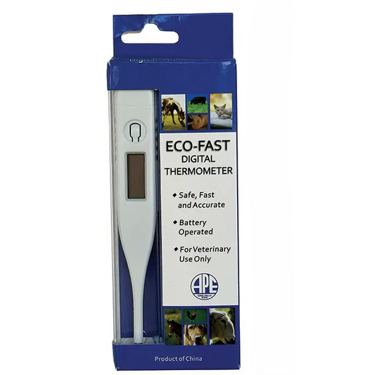 Eco-Fast Digital Thermometer