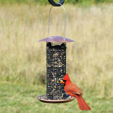 Petite Copper Finish Sunflower Feeder