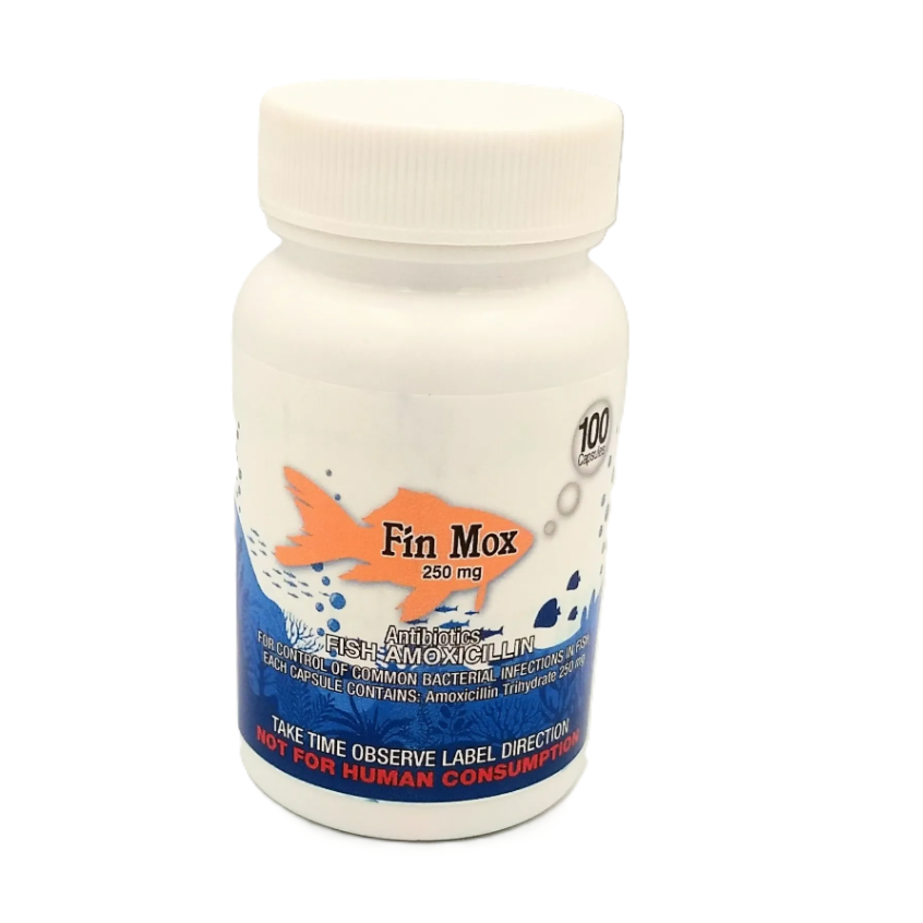 Fin Mox  Fish Amoxicllin