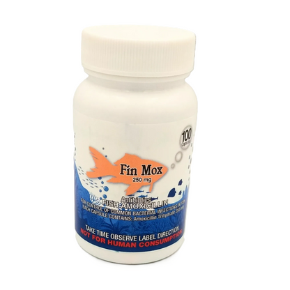 Fin Mox  Fish Amoxicllin