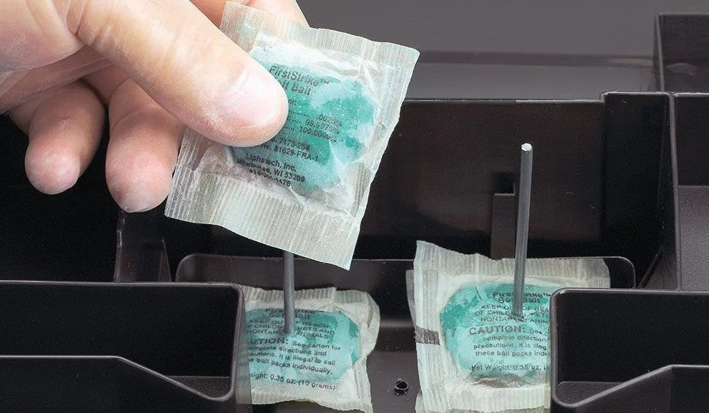 First Strike Soft Bait - 16 lb.