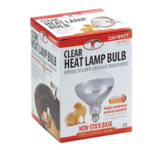 Heat Bulb - Red - 250 Watt
