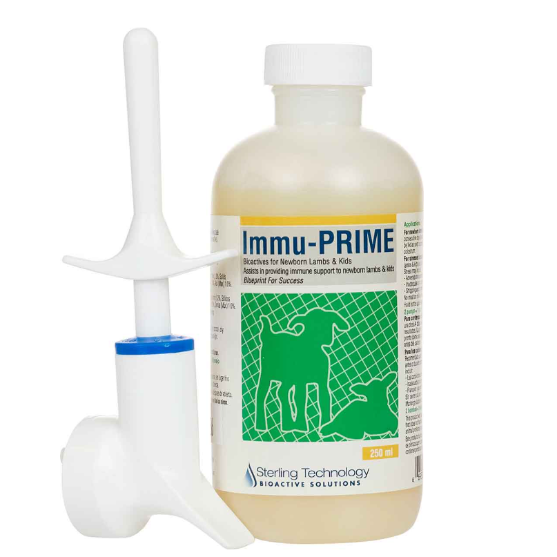 Immu-Prime for Newborn Lambs and Kids