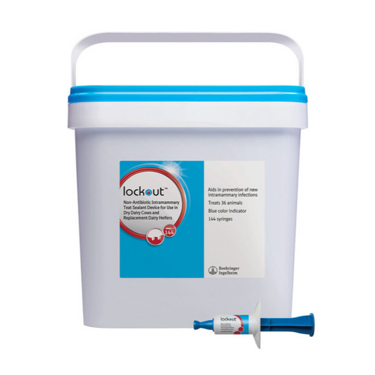 Lockout Sealant Pail