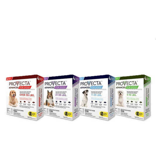 Provecta Advanced For Dogs