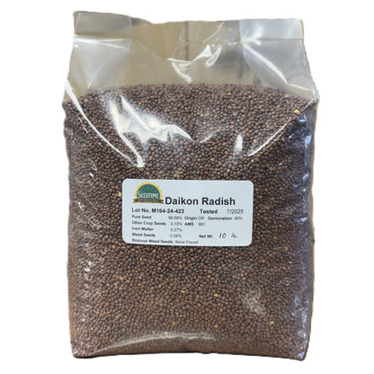 Daikon Tillage Radish
