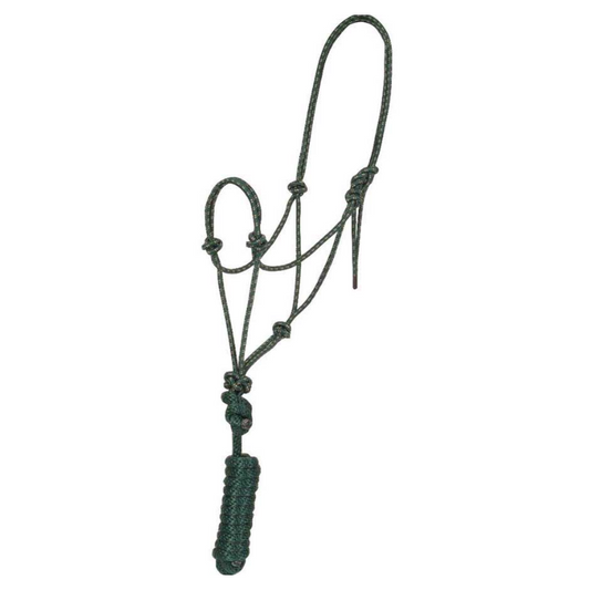 Rope Halter & Lead