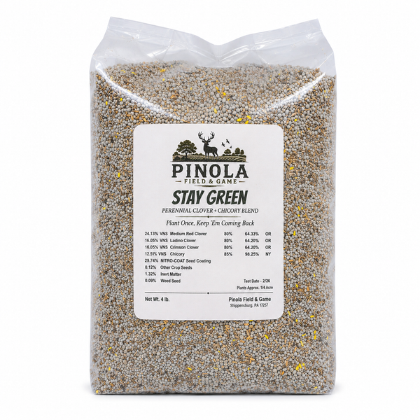 Stay Green Perennial Blend - 4 lb.