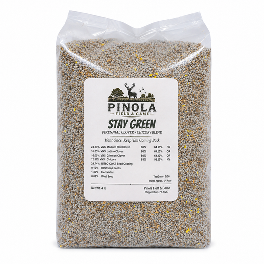 Stay Green Perennial Blend - 4 lb.